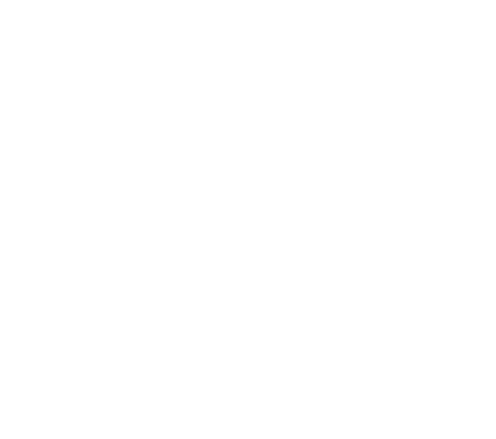 Monakii Holdings Pvt Ltd